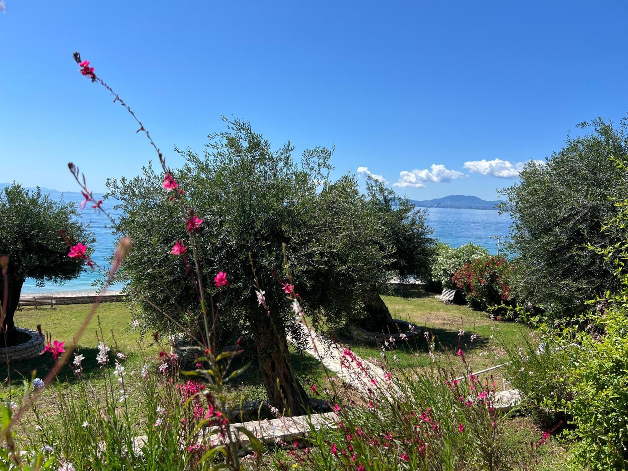 Nissaki Bay Apartment Nisaki  ภายนอก รูปภาพ